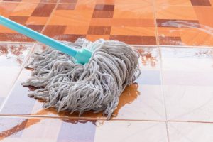 Ostrianet.gr - Σφουγγαρίστρα καθαριζει πατωμα